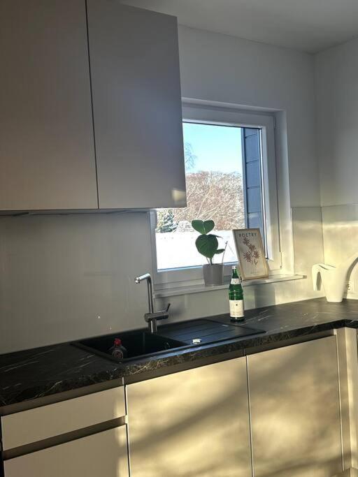 Gemuetliche In Mit Dachterrasse